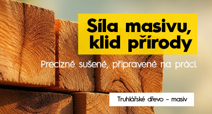 Síla masivu
