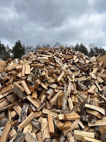 Štípané dřevo – ukázka bezodpadového přístupu ve výrobě Wood Seeds